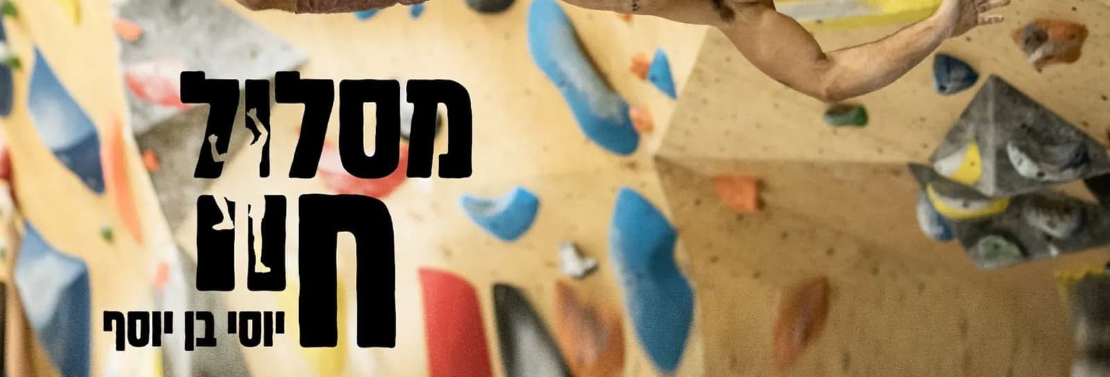 יוסי בן יוסף - לבנות את מסלול חיי