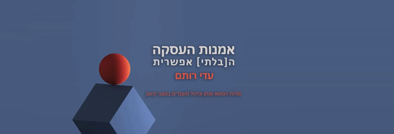 עדי רותם - אמנות העסקה הבלתי אפשרית