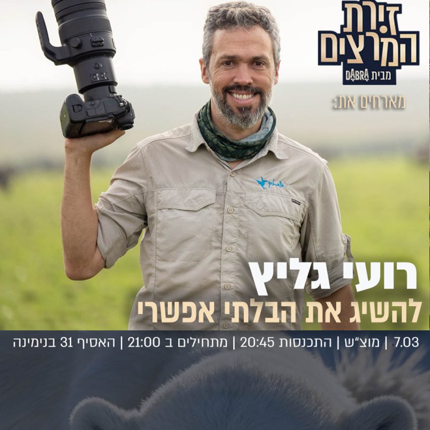 רועי גליץ - בדיקת חומרים - ריבועי